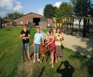 dagjeuitfotos